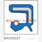 BAUMSL 25*47*10   CFW品牌  氟膠油封